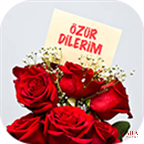 Özür Dilerim